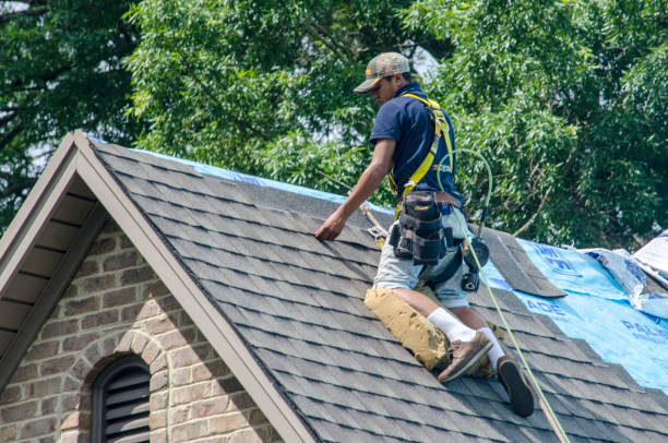 Best Roof Leak Repair  in Humboldt Hill, CA